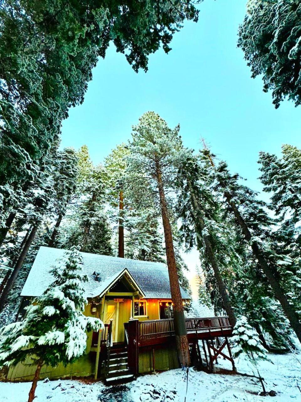 The Honey Bear Cabin Carnelian Bay Eksteriør billede