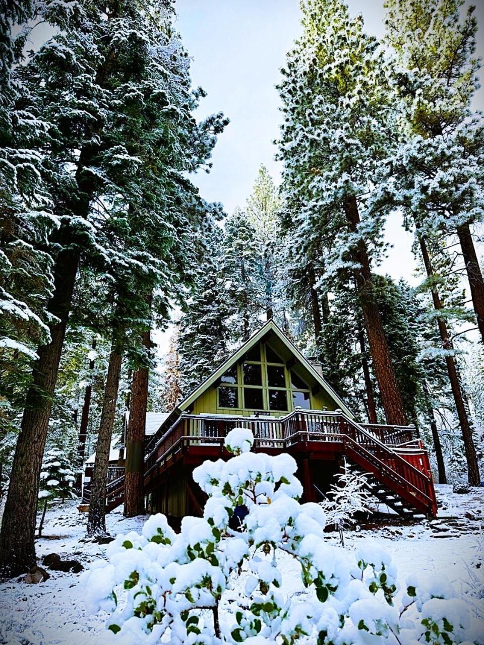 The Honey Bear Cabin Carnelian Bay Eksteriør billede